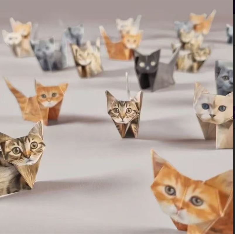 DIY Geometric Origami Kit for Kids Total 100 Sheets - Semi-Finished Cat and Dog Folding Craft