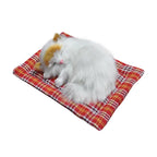 Tarmeek Simulation Sleeping Cat Plush Toy with Cloth Mat + Meow Function. White or White with small Ginger Patches.